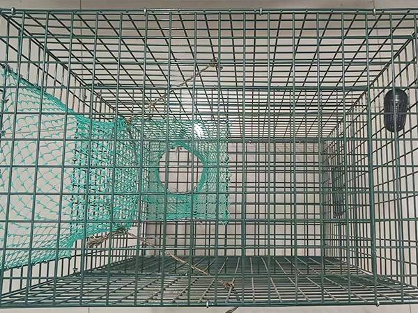 The side view of a black lobster trap placed on the ground
